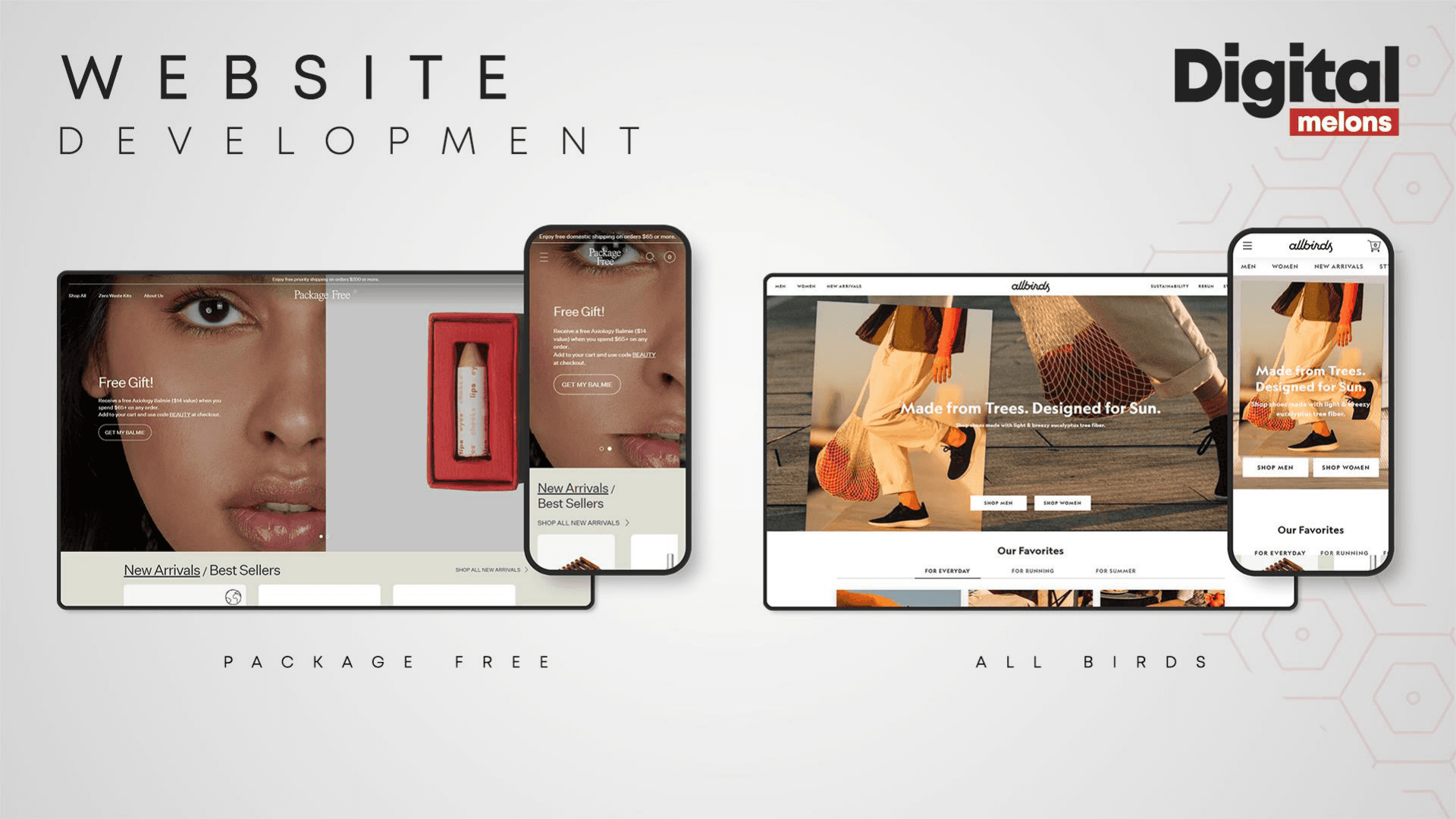 Website Development